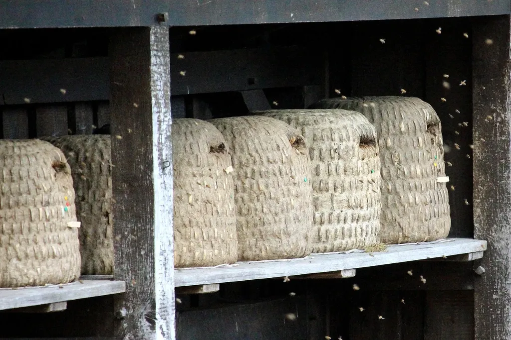 Auf Wunsch verpacken wir Ihren Hausstand fachgerecht und sorgen für den sicheren Transport. Am Zielort packen wir auf Wunsch alles wieder aus.