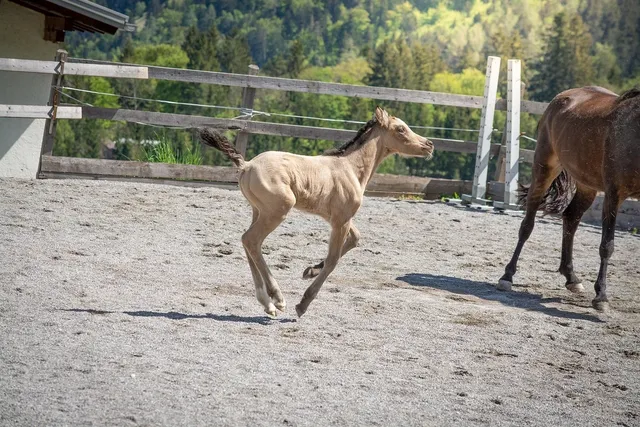 sie-bekommen-einen-wunschtermin