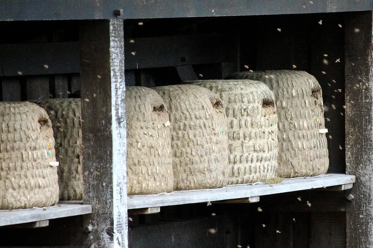 Auf Wunsch verpacken wir Ihren Hausstand fachgerecht und sorgen für den sicheren Transport. Am Zielort packen wir auf Wunsch alles wieder aus.